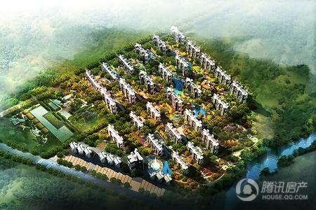 �ɵ�����